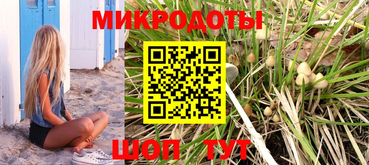 Псилоцибиновые грибы MAGIC MUSHROOMS  где можно купить наркотик  Галлюциногенные грибы MAGIC MUSHROOMS  Кингисепп 